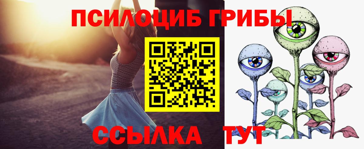 Ставрополь  Галлюциногенные грибы мухоморы  Вход с VPN 