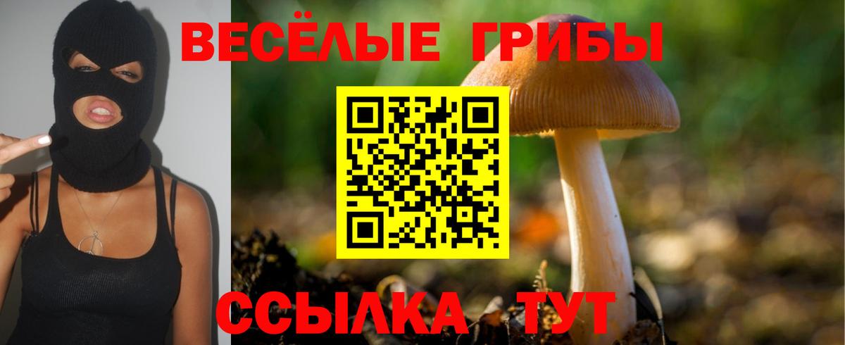 Галлюциногенные грибы Magic Shrooms Ставрополь